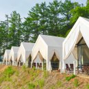 하늘숲글램핑 이미지