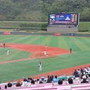 2루72 | [251026 일본 독립리그 VS NC 교육리그 직관후기] 오영수와 신재인이 맹타를 휘두르면서 신승을 거둔...