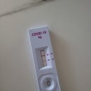 수진가새란약국 네이버블로그