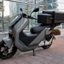 포도모터스 이미지