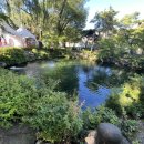 황지행정사 이미지