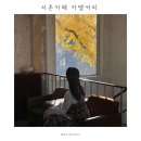 효자로 | 서촌 은행나무뷰 카페 카멜커피 | 2025년 경복궁역 효자로 단풍 현황