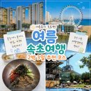 여름 속초 여행 2박 3일 추천 코스 - 설악산, 바다, 아바이마을 일정 경비까지