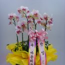 한일 마을회관 이미지