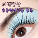 미색단장 이미지