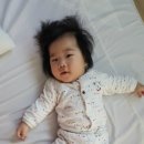 형제이발 이미지