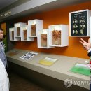 장생도라지박물관 이미지