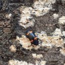 쇠재공원 이미지