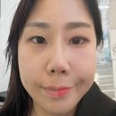 파인트리 동물병원 | 서대문역메이크업 파인트리헤어살롱