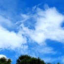 장 오토클럽 이미지