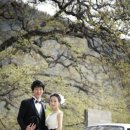 금호빌딩 이미지