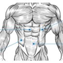 머슬팩토리 하단점 이미지