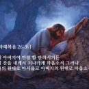 원대로 이미지