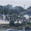 다대포 원조 해물칼국수 이미지