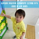 율하센텀약국 | 눈두덩이 외상으로 상처봉합한 22개월 아기 (병원 총 4곳 방문)