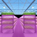 박영환농장 이미지