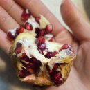 12월의 대구 방문기 이미지