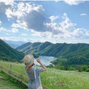 선화목장 이미지