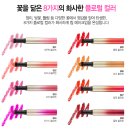 플럼블라썸 이미지
