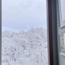 녹지다방 이미지