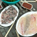 서천 수산물 특화시장_ [명신네] 회 포장 솔직 후기(내돈 내산)