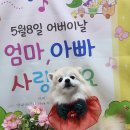몽실이 이미지