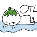 WON실용음악학원 이미지