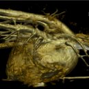 달성축산동물병원 이미지