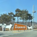 복지공원 앞 | 대전 반려동물공원 중형견 입장가능 무료 운동장 애견카페 후기