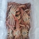 울진대게 이미지