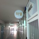 서울잔넬