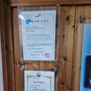 옛날즉석손두부 | [강원 양구] 아이와 부모님 모두 만족하는 양구손두부 본점 주문 꿀팁