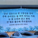 대덕구청 본관 이미지