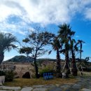 젠틀리조트 이미지