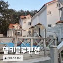 블루펜션 | 태안 밀키블루펜션 후기 청포대 해수욕장 가성비 스파 펜션