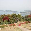 달아마루브릴랑 이미지