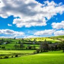 승화농장 이미지