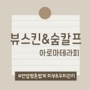 [안양호계동아로마테라피] 면역력+피로해소 한 번에- 라뷰 숲칼프 전신온열 돔 테라피 솔직 후기