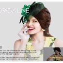 올가라인 이미지