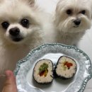 해피왈츄 이미지