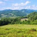 해피목장 이미지