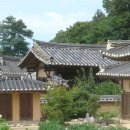 유개생선 Daum카페
