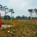 숲바람수변공원 이미지