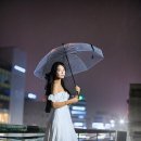 스튜디오보리 Daum카페