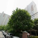 보성황실시장 이미지