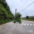 산림욕장 진입로 이미지