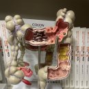 혜민한의원 이미지