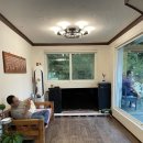 오색로뎀나무아래 이미지