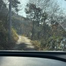 자연애스토리 이미지