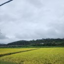 무릉유원지 | 안동 가볼 만한 대형카페 무릉유원지 아덴